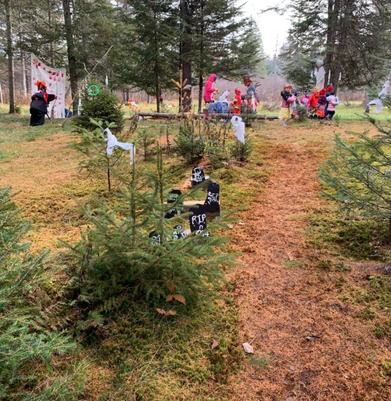 485165235_4050940765190686_3070403340055867743_n_compressed smaller