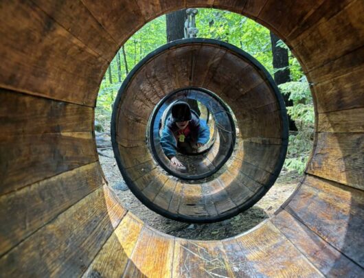 517771131_4166075933677168_2815526374437097447_n_compressed smaller